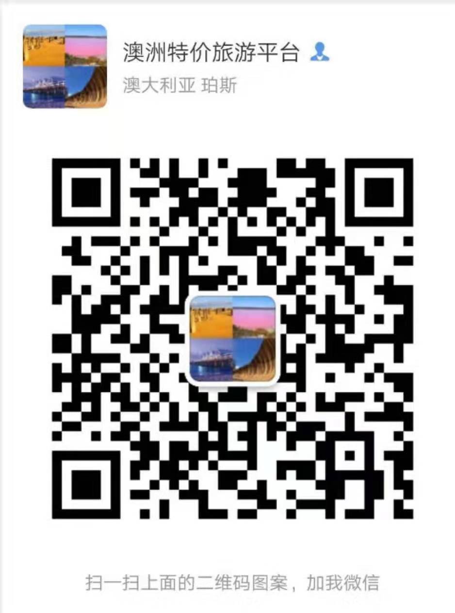 请扫码报名