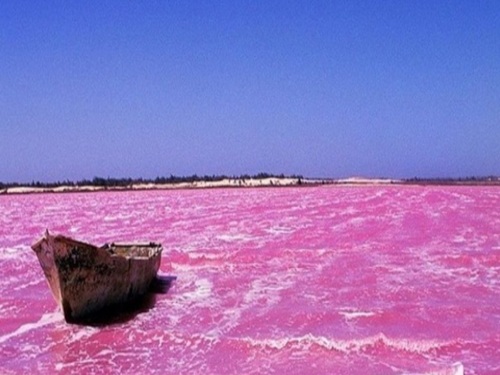 北粉湖：赫特泻湖 Hutt Lagoon，湖的色调从泡泡糖粉到丁香，取决于天气，云层和一天中的时间。 如果你在风景优美的飞机上从上面观看，准备被湖边的微藻种植植物的颜色多样化所震撼。